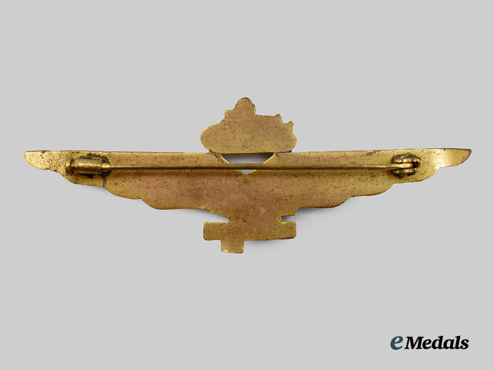 italy,_fascist_period._an_italian_tank_badge___m_n_c9741