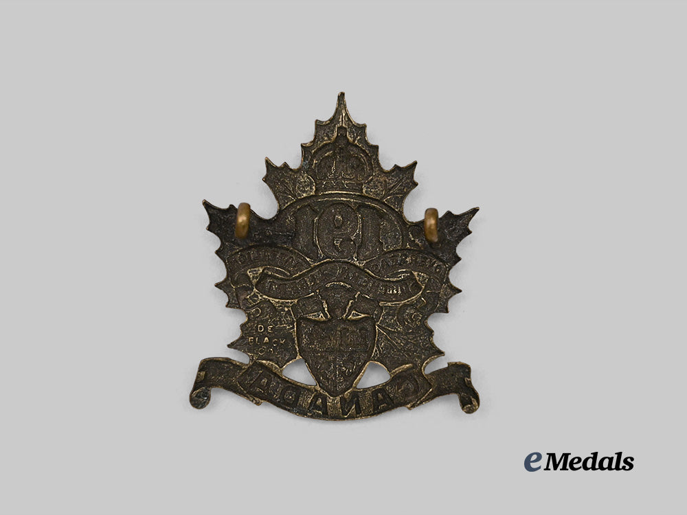 canada,_c_e_f._a191st_infantry_battalion"_south_alberta_regiment"_cap_badge_e_medals__c7276_3