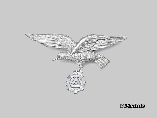 belgium,_v_n_v._a_flemish_factory_guard_cap_eagle_e_medals__e_u24920_2