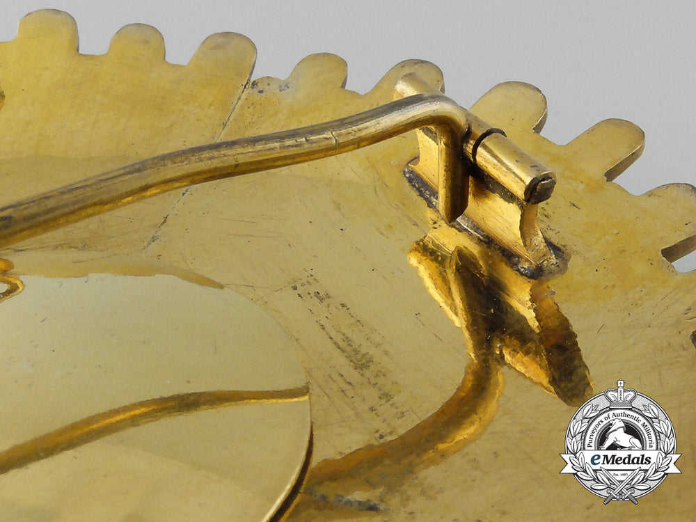 a_spanish_breast_star_for_scientific_achievement_a_1134