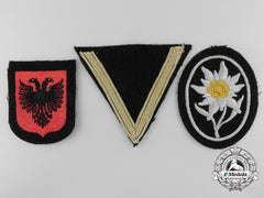 Three Cloth Ss Insignia