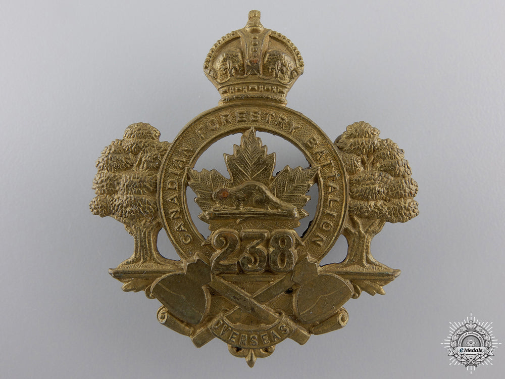 a238_th_forestry_battalion_cap_badge_a_238th_forestry_54dce456d9963