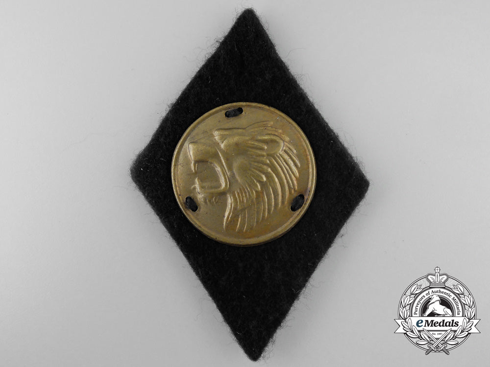 germany,_weimar_republic._a_bund_freikorps_epp_sleeve_badge_and_stickpin_a_4410