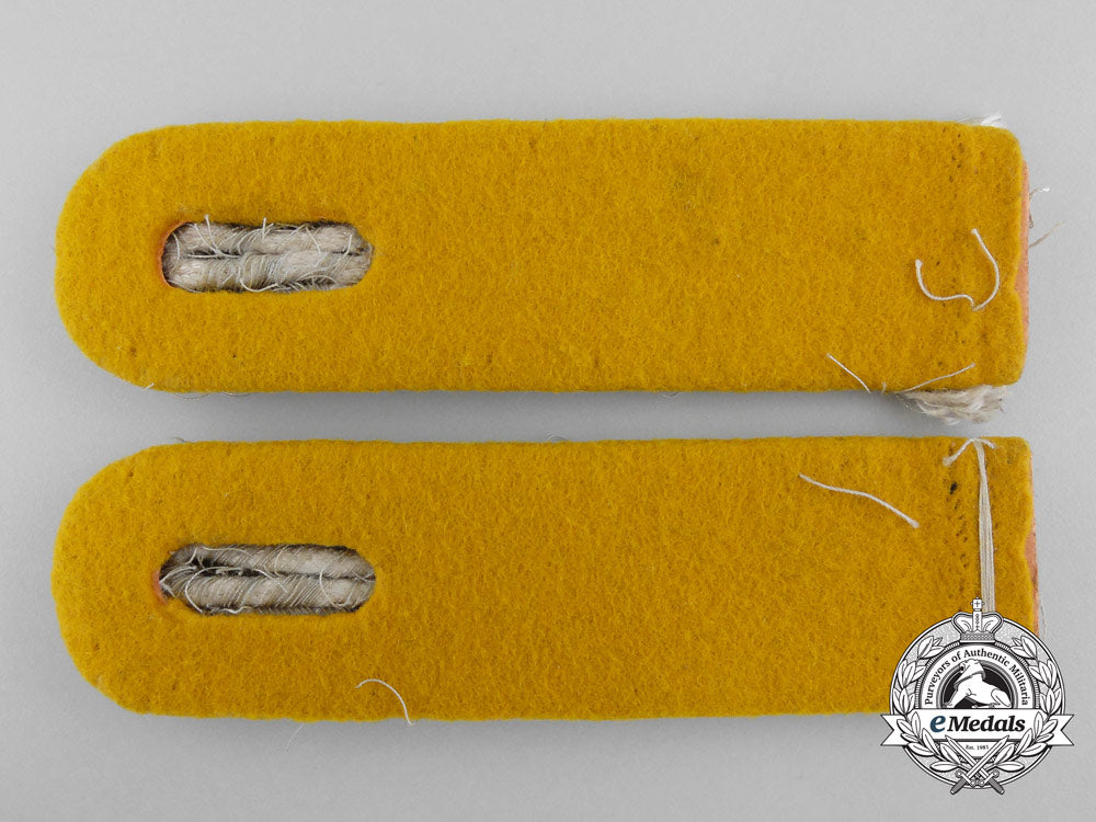 a_set_of_german_army_cavalry_shoulder_boards_a_8208