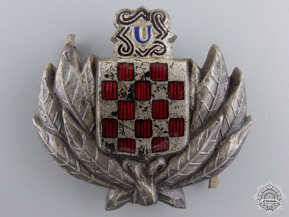 a_croatian_treasure_guard_badge_a_croatian_treas_54ecd3c02ca09