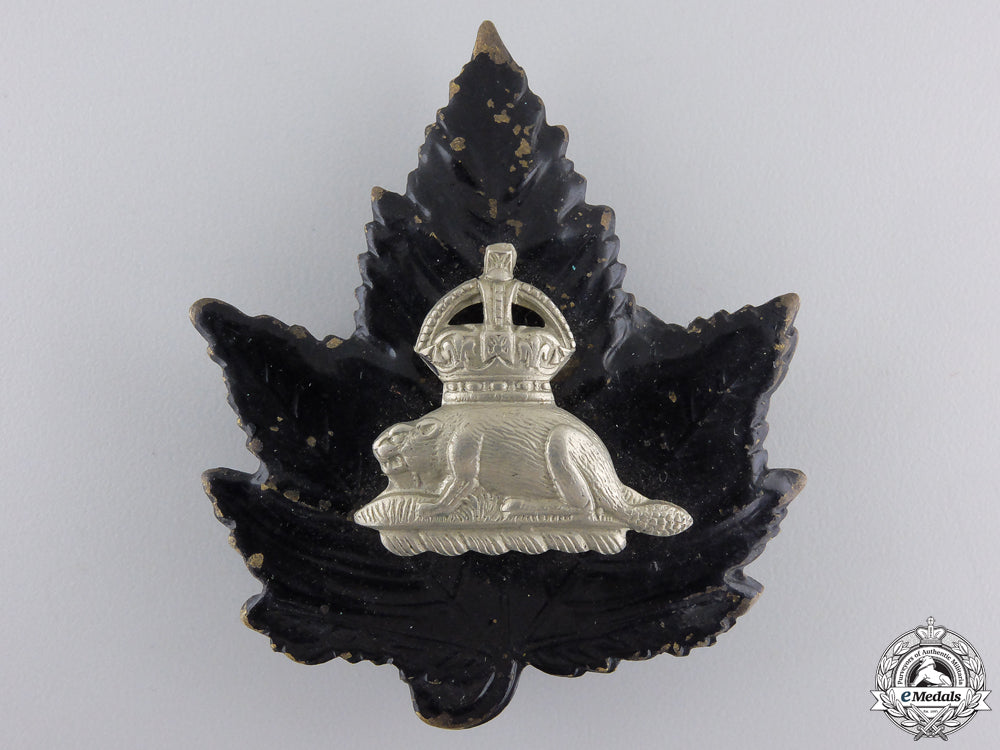 a_king's_crown_canadian_police(_bobby_helmet)_beaver_badge_a_king_s_crown_c_55918ff79dfb8