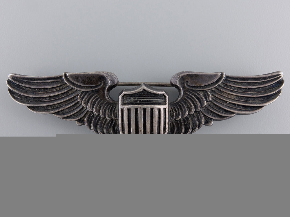 a_second_war_american_army_air_force_pilot_badge_by_amico_a_second_war_ame_54e8c1bf306e5