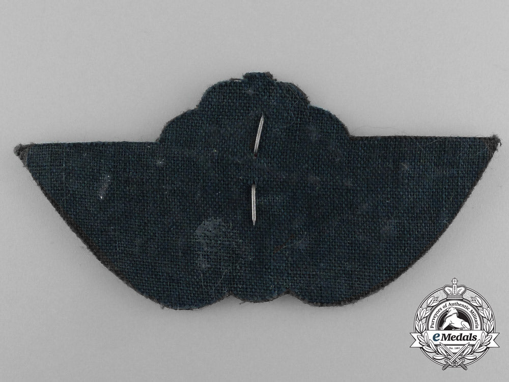 a_royal_norwegian_air_force(_rnaf)_pilot_badge_aa_1625