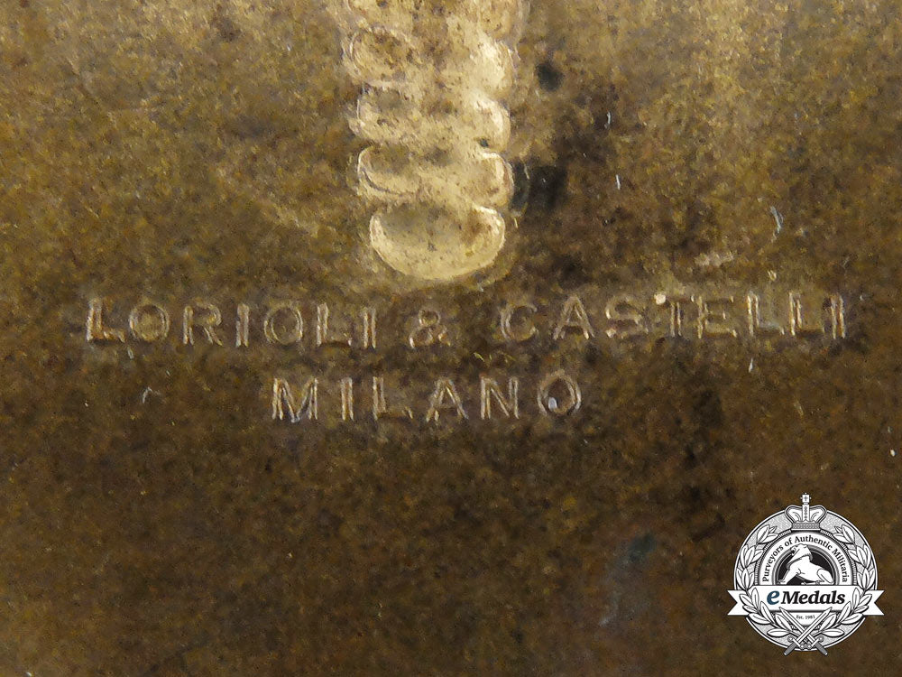 an12_th_infantry_division_of_timavo(12ª_divisione_fanteria_timavo)_sleeve_shield_aa_9759