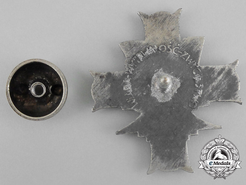 poland._a3_rd_carpathian_rifle_division_badge_aa_9763