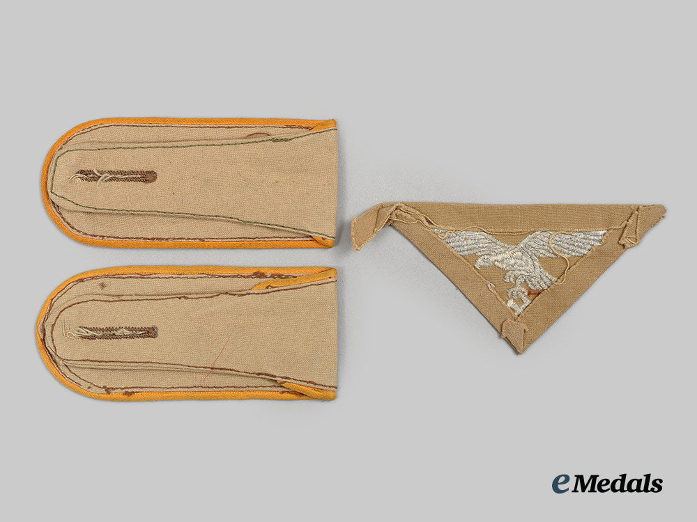 germany,_luftwaffe._a_lot_of_tropical_uniform_insignia_ai1_6353_1