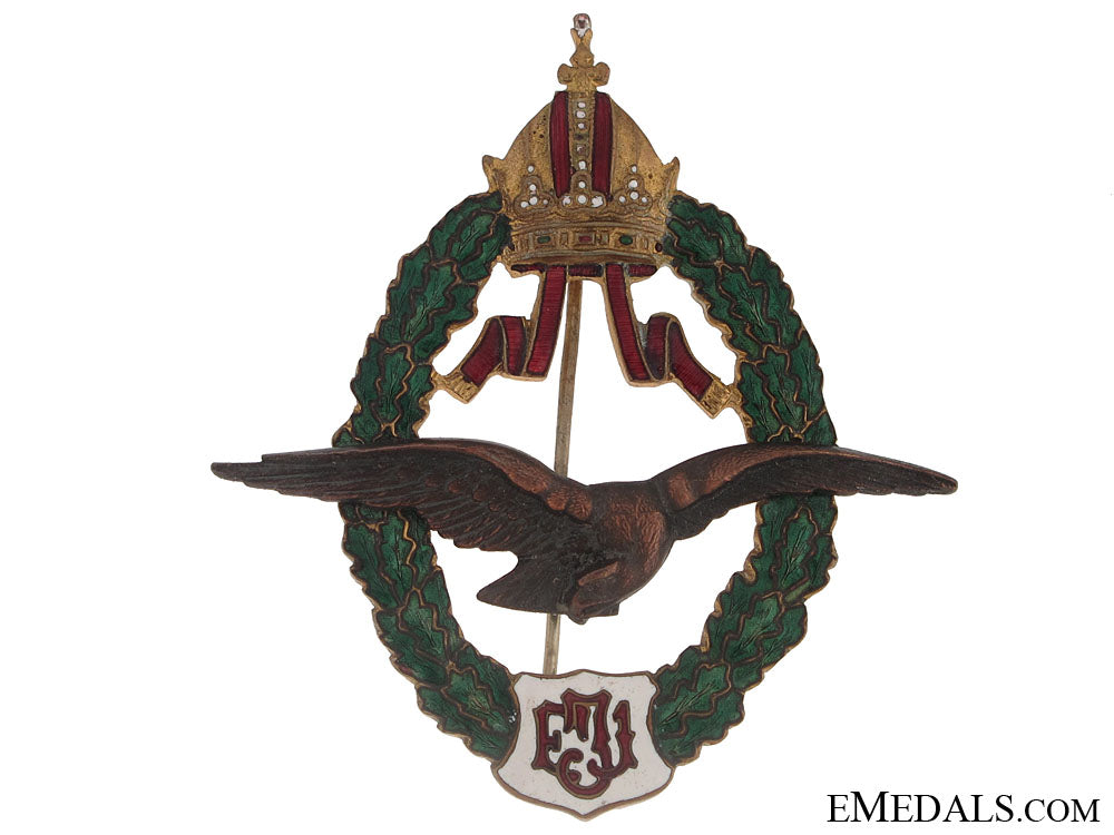 an_austrian_pilots_badge_fj1_type_ambm974