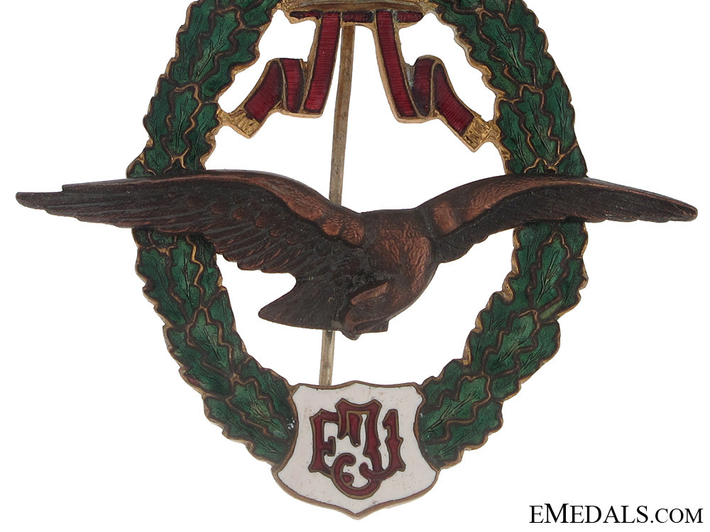 an_austrian_pilots_badge_fj1_type_ambm974b