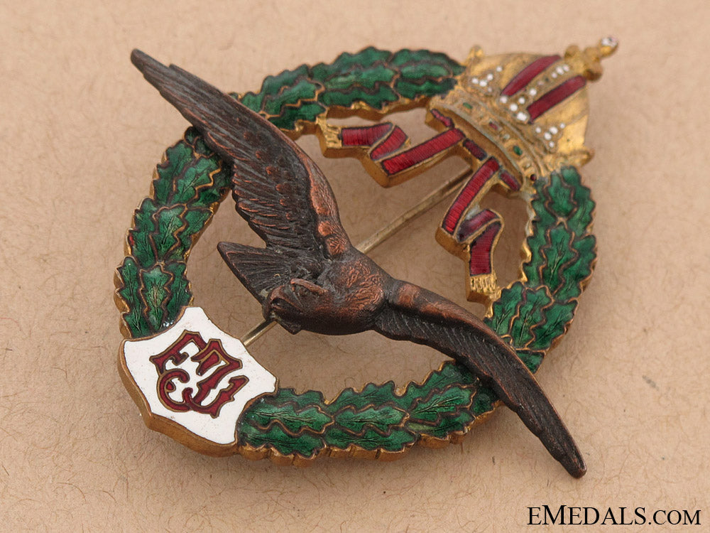 an_austrian_pilots_badge_fj1_type_ambm974f