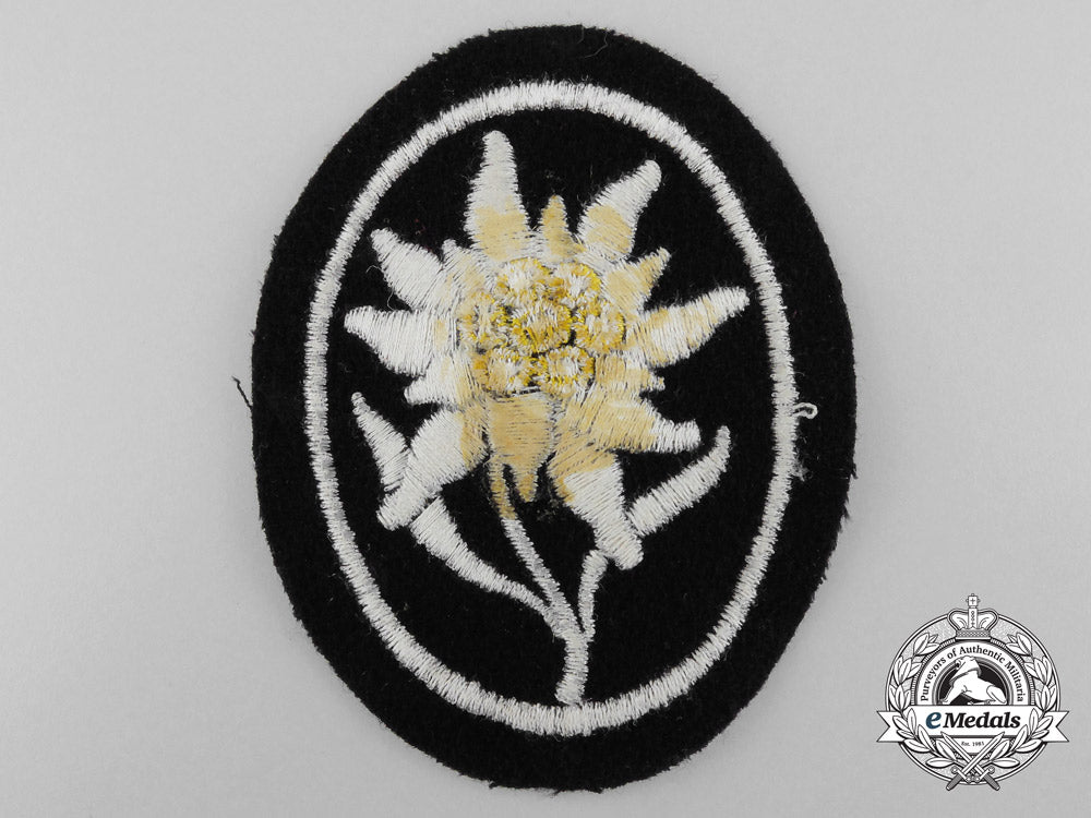 an_ss-_gebirgstruppen_sleeve_edelweiss_b_2399