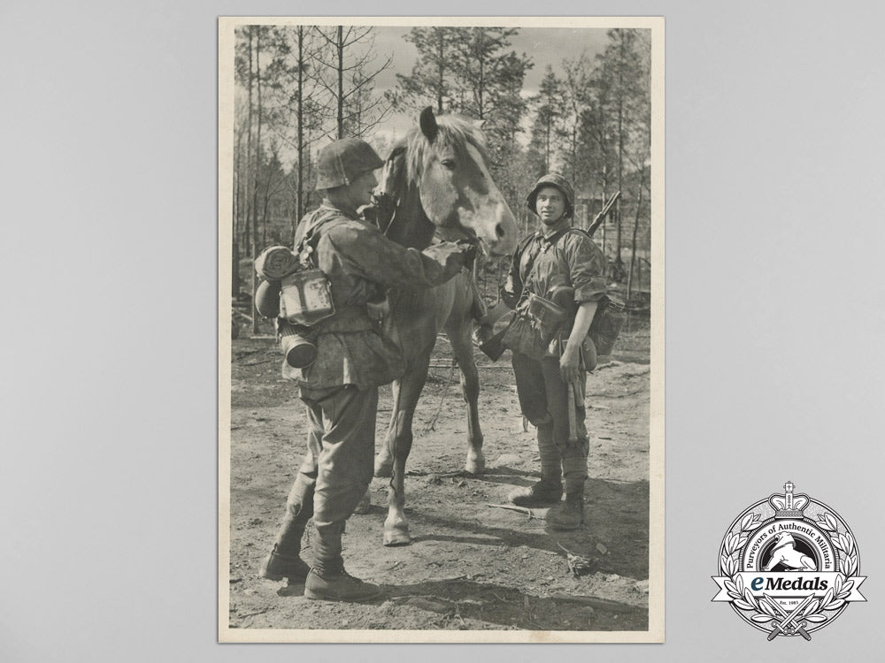 a_lot_of_twelve_waffen-_ss_picture_postcards_b_6857