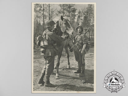 a_lot_of_twelve_waffen-_ss_picture_postcards_b_6857