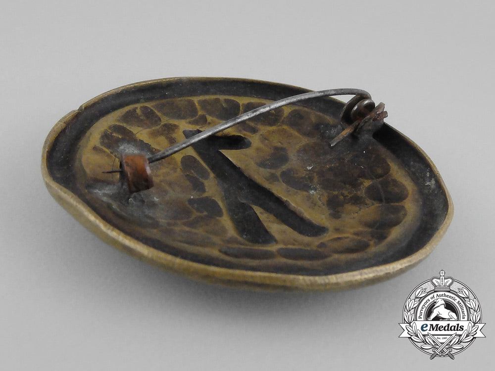 third_reich_period_german“_ka-_capability”_runic_badge_bb_0085