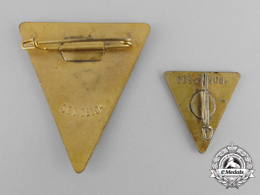 two_national_socialist_women’s_league_membership_badges_bb_0181