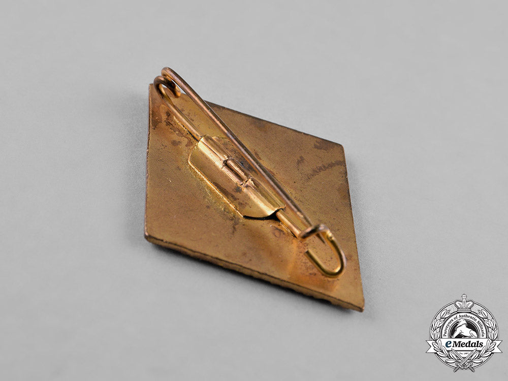 germany._a_national_socialist_war_victim’s_care_honour_badge_with_oak_leaves_c18-023150