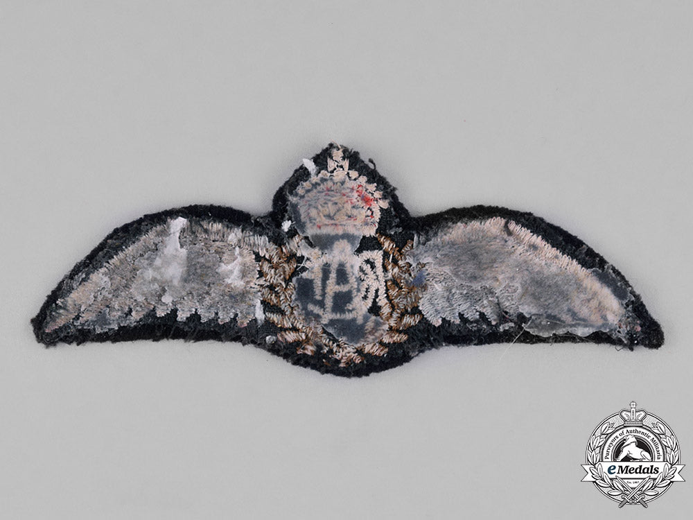 canada._a_royal_canadian_air_force(_rcaf)_pilot_wings_c18-024448