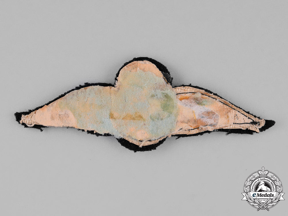 south_africa._a_second_war_south_african_air_force(_saaf)_pilot_wings_c18-024472