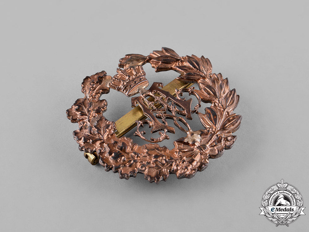 bavaria,_kingdom._a_prince_alfons_commemorative_medal_without_ribbon_c18-029167