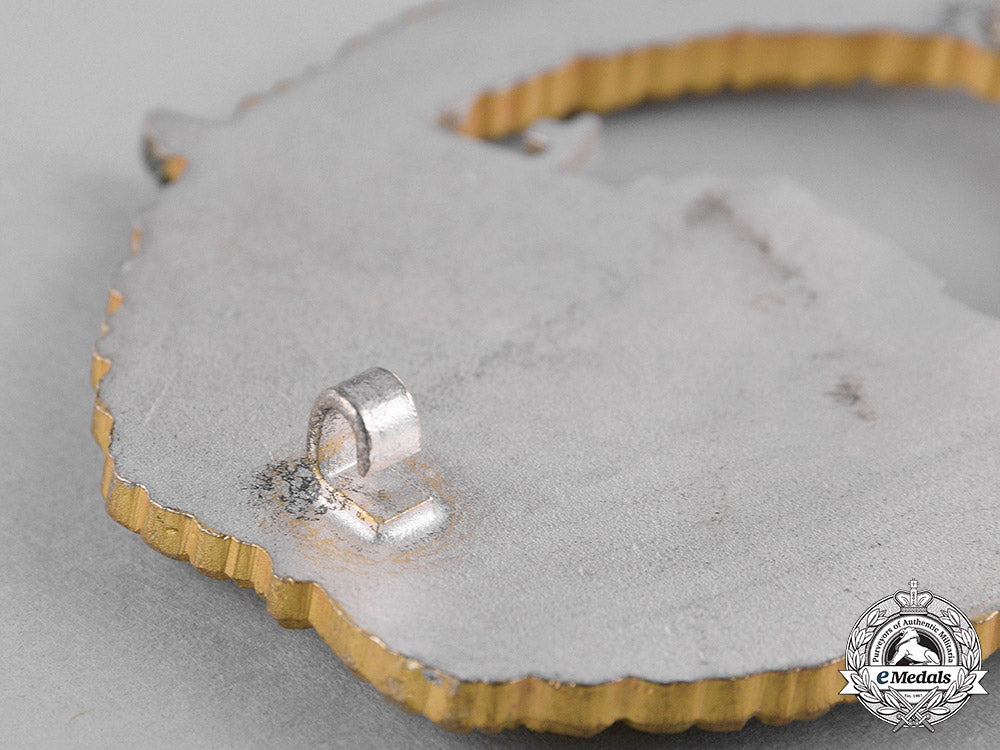 germany,_federal_republic._a_kriegsmarine_e-_boat_badge_c18-033710