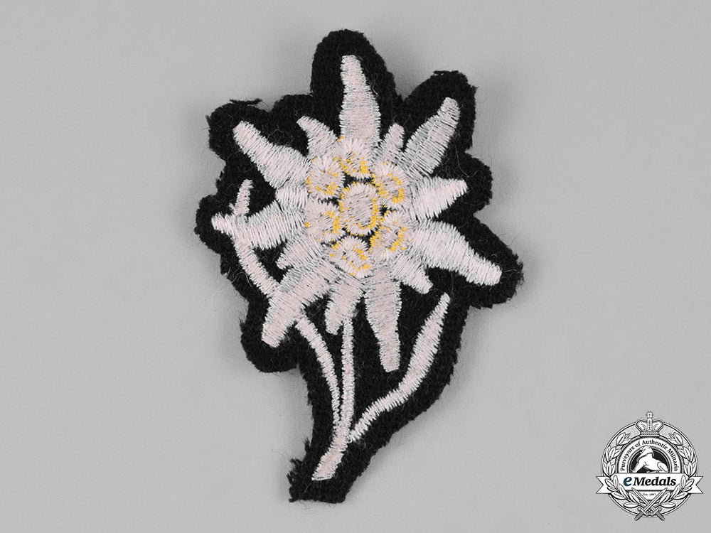 germany,_ss._a_ss_mountain_troop_edelweiss_sleeve_patch_c18-034607