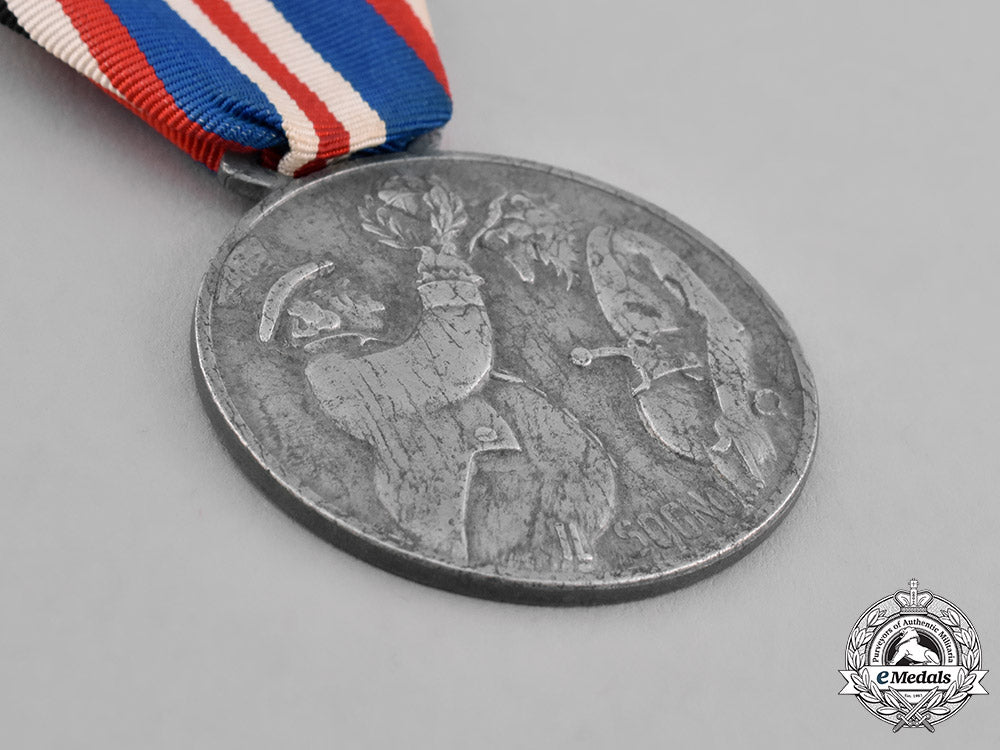 italy,_kingdom._an_anti-_partisan_propaganda_medal_by_the_german_propaganda"_staffel"_detachment_c18-037124_1_1