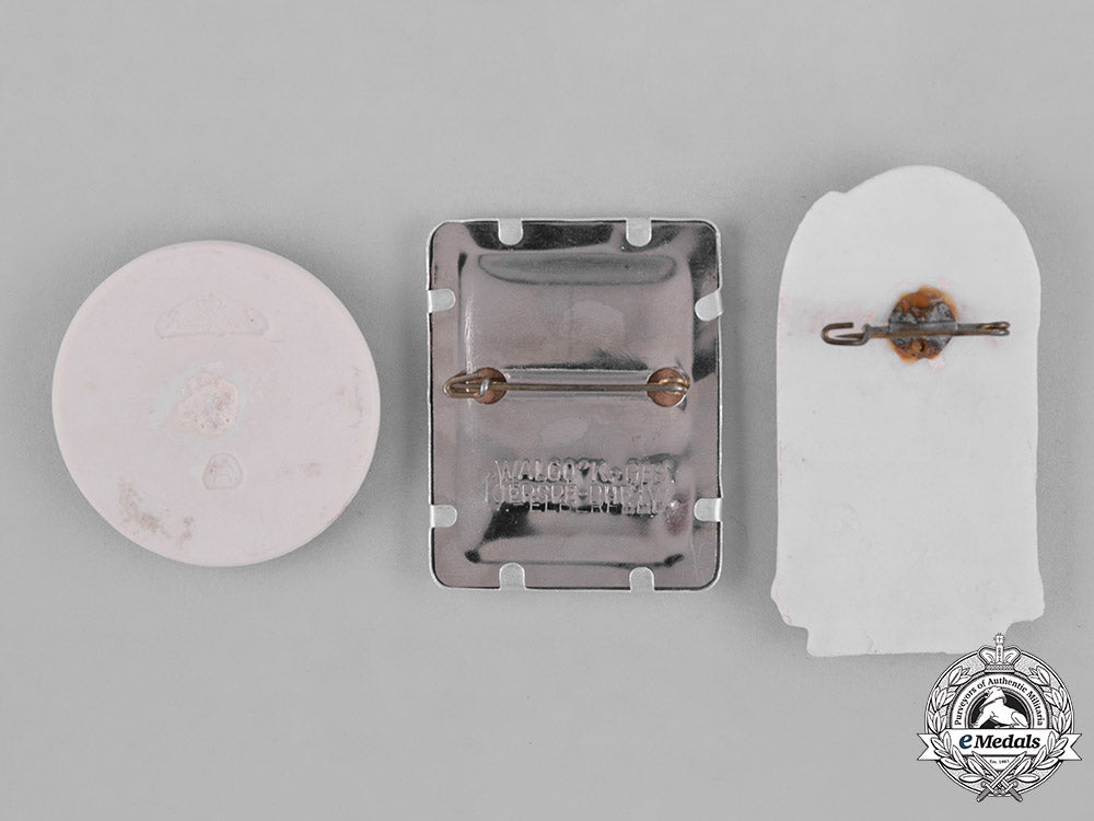 germany,_third_reich._a_group_of_third_reich_period_commemorative_badges_c18-041614