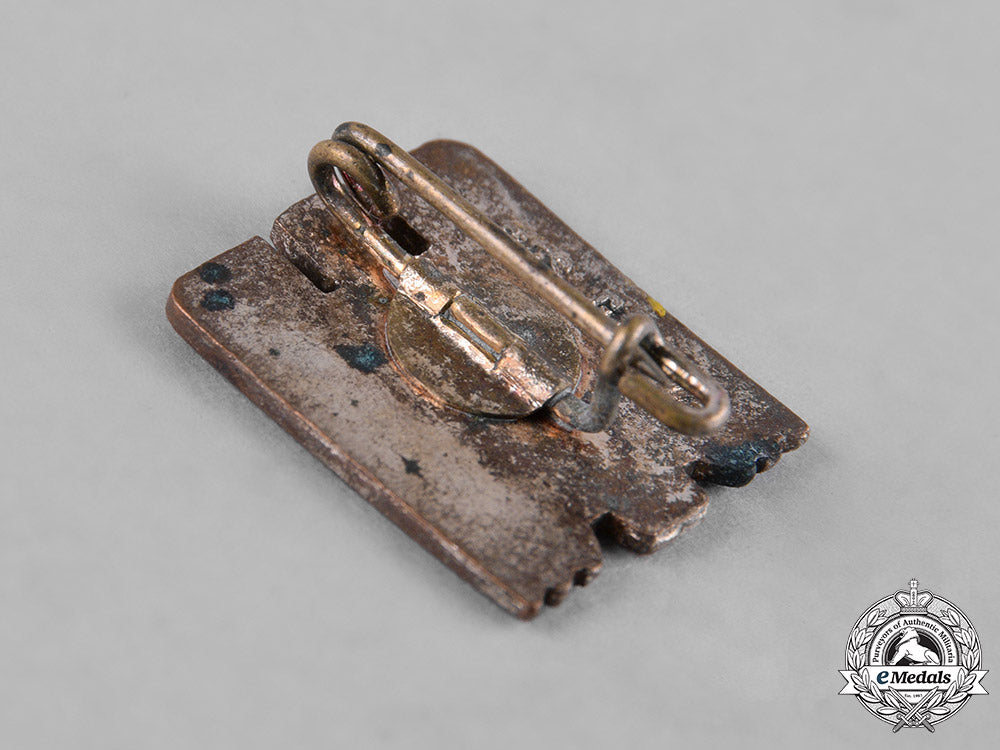 germany,_third_reich._a_lot_of_membership_period_badges_c18-047949