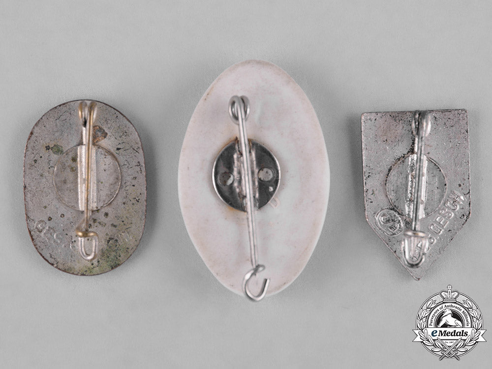 germany,_third_reich._a_group_of_third_reich_organization_badges_c18-049233