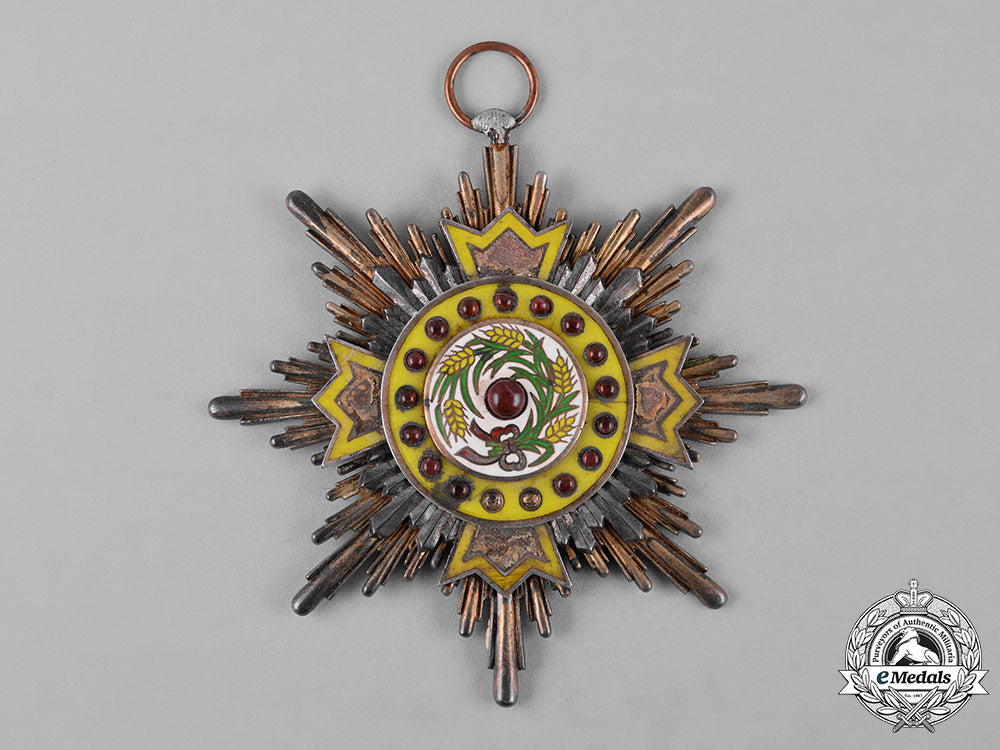 china,_republic._an_order_of_the_precious_brilliant_golden_grain,_i_class_grand_cross_badge,_c.1915_c18-049441_1_1_1_1_1_1_1_1_1_1_1_1_1_1_1