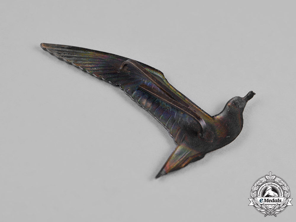 netherlands,_kingdom._a_nationale_jeugdstorm(_national_youth_storm)_cap_insignia_c18-050672