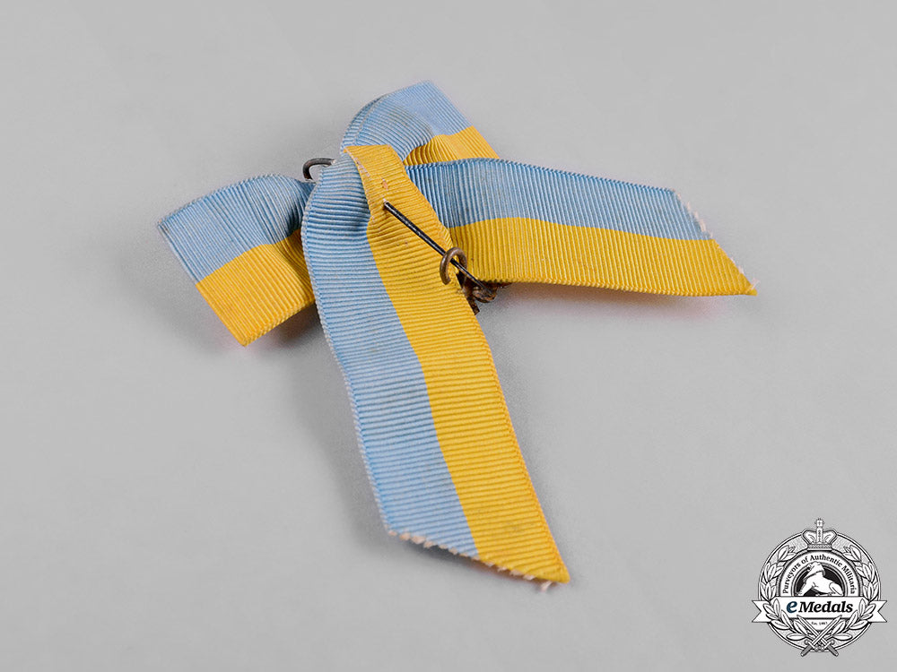 braunschweig,_dukedom._a_veteran_badge,1877_c18-051218