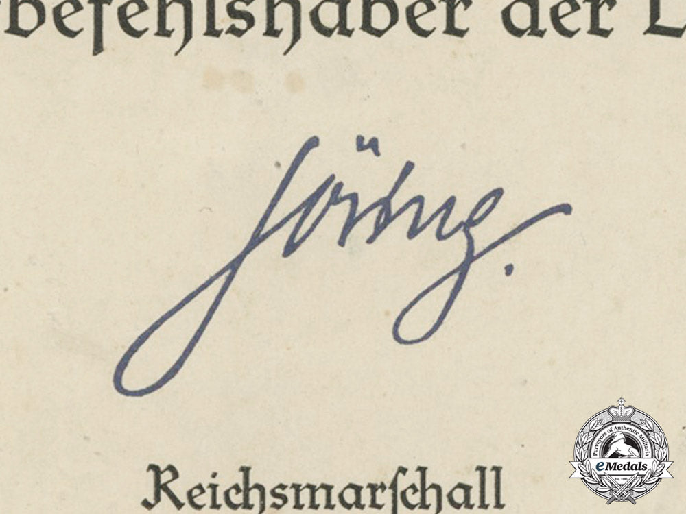 germany,_luftwaffe._an_outstanding_document_group_to_ace_leutnant_peter_düttmann,152_victories_c18-0529