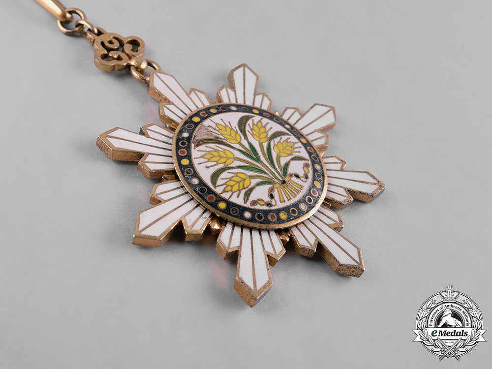 china,_republic._an_order_of_the_golden_grain,_ii_class_commander,_c.1925_c18-054242_1_1_1_1_1_1_1_1_1_1_1_1_1_1_1