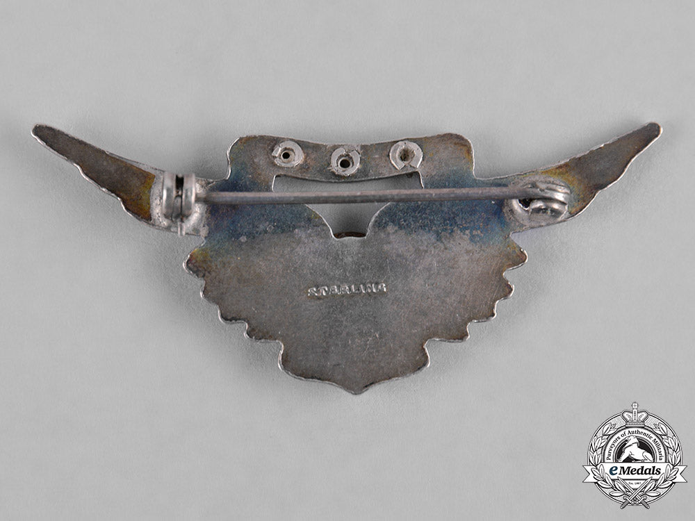 united_states._a_marine_corps_combat_aircrew_badge_c19-1193