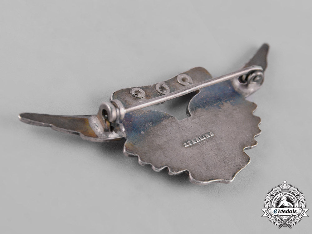 united_states._a_marine_corps_combat_aircrew_badge_c19-1195