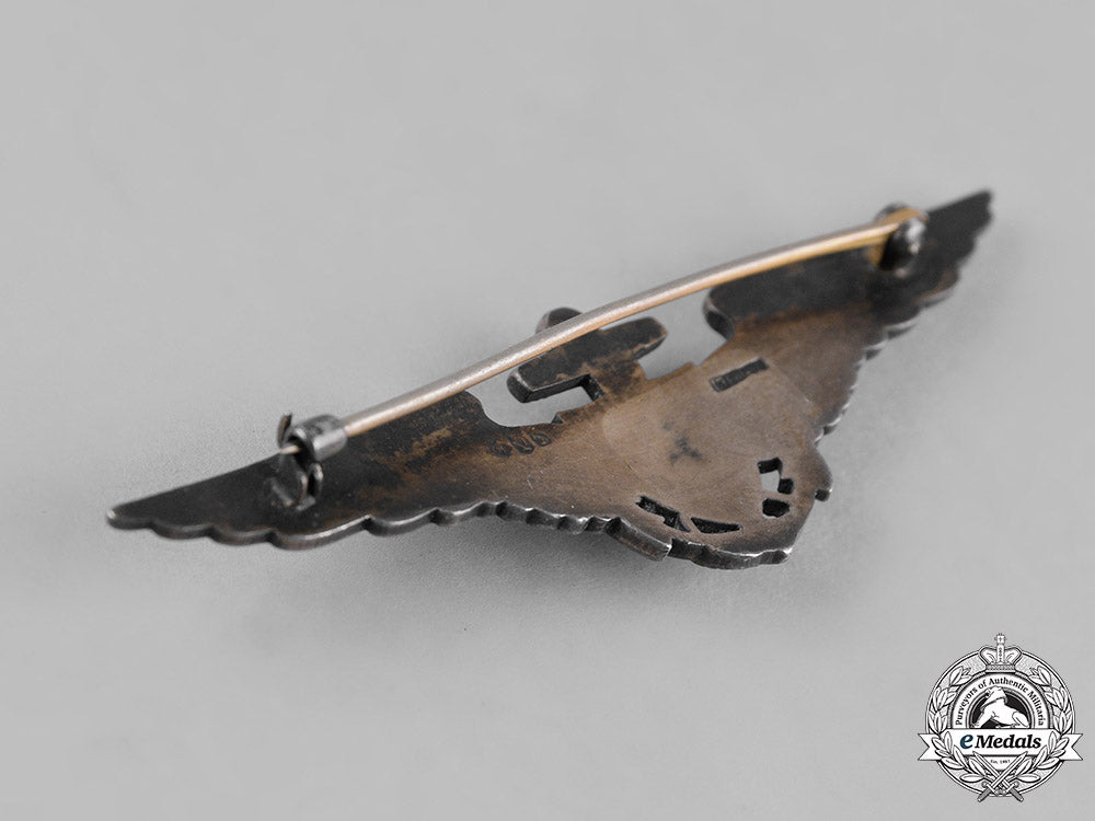 united_states._a_second_war_egyptian-_made_naval_aviator_badge_c19-1254