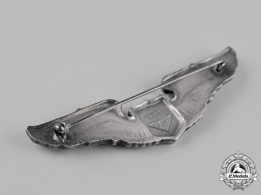 united_states._an_army_air_forces_pilot_badge,_by_a.e._co._c19-2980