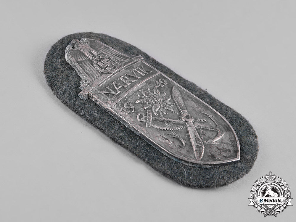 germany,_heer._a_narvik_campaign_shield_c19-677_1