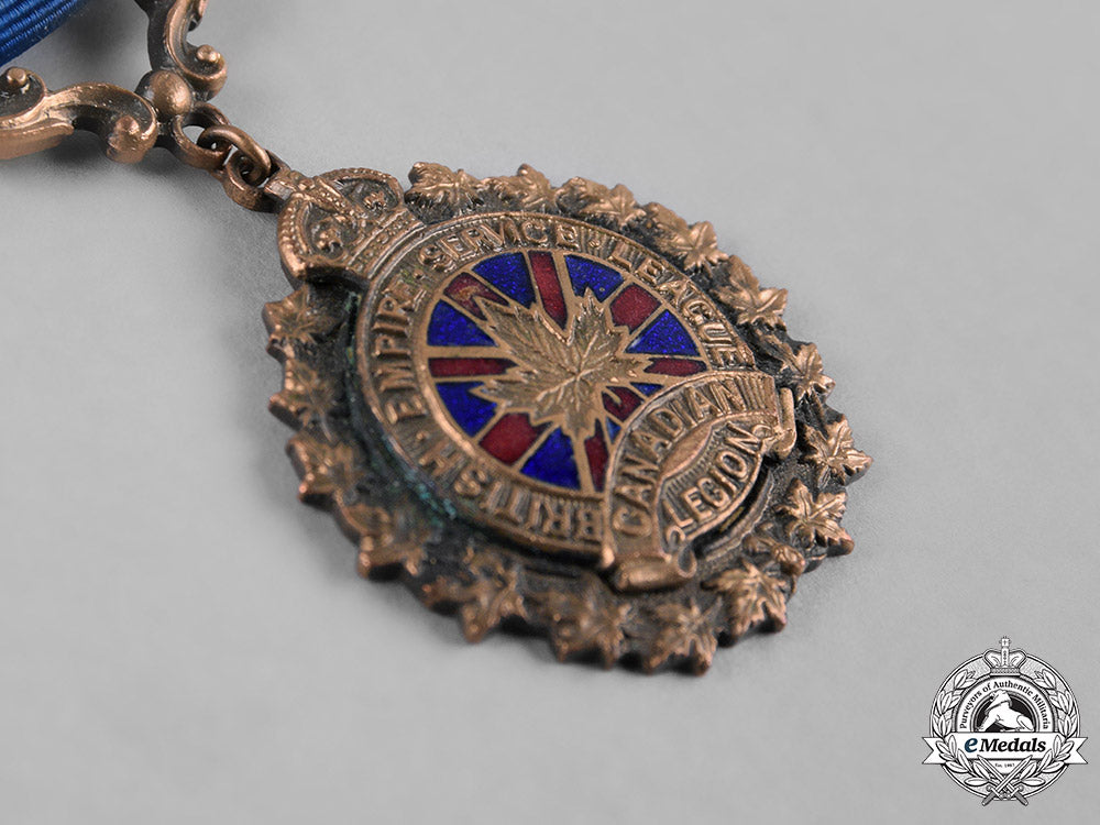 united_kingdom._a_lot_of_ten_badges_and_medals_c19-7891