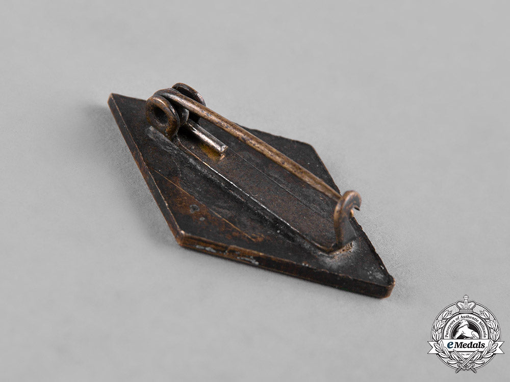 germany,_hj._a_membership_badge_c19-813