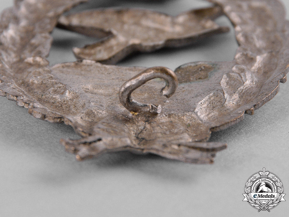 germany,_imperial._a_commemorative_flyer_badge_in_silver,_prinzen_size_c19-8909_1