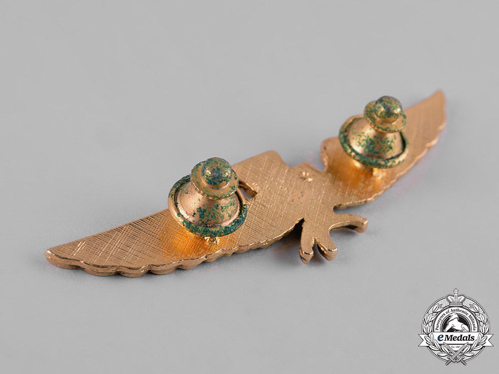 united_states._a_lot_of_second_war_period_united_states_navy_awards&_insignia_c19_2481