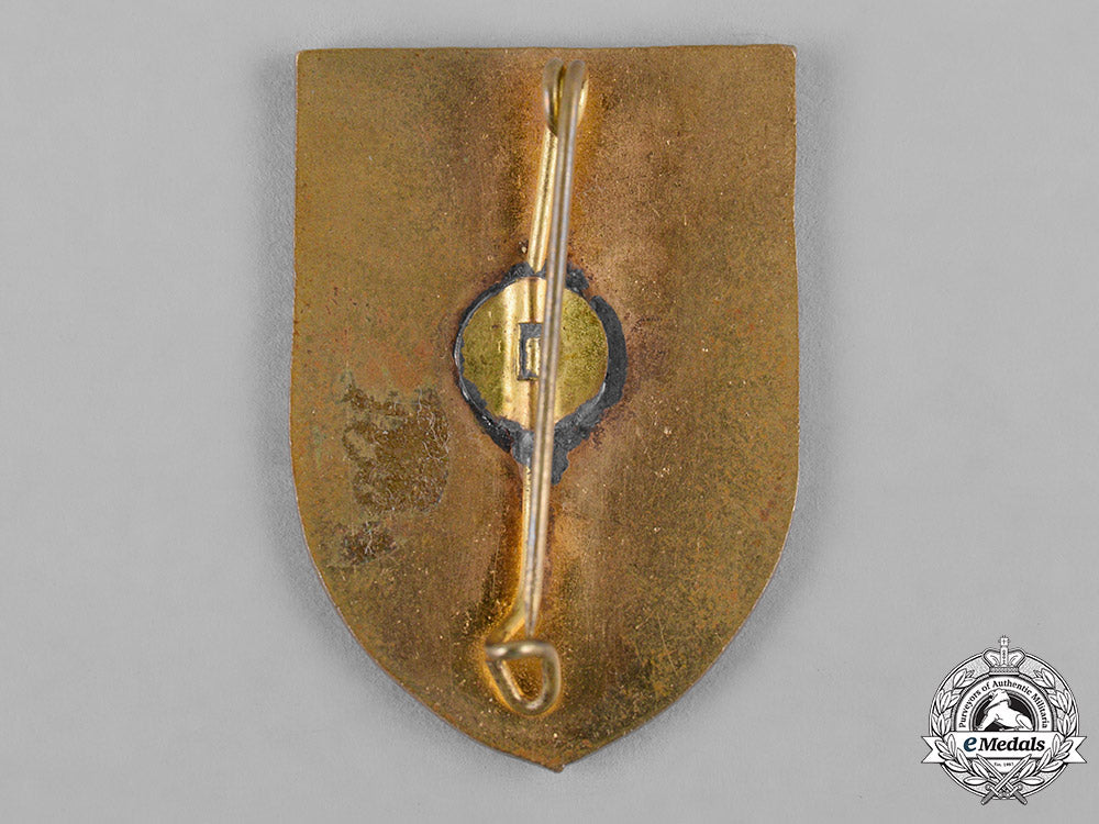 germany._kriegsmarine._a7_vorpostenflottille_badge_c19_3549