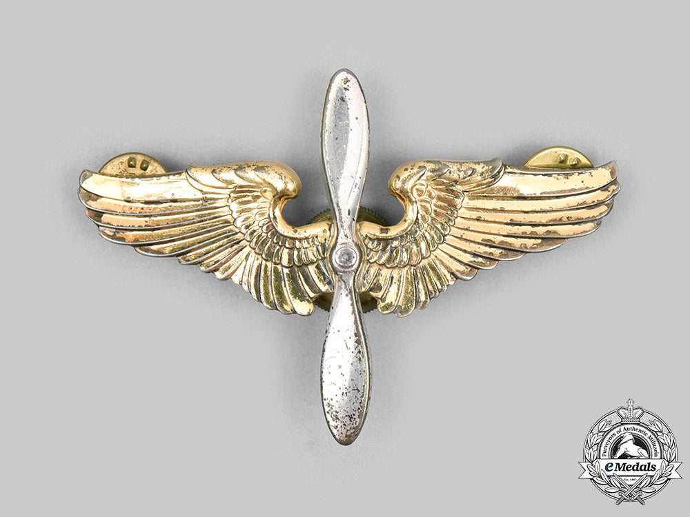 united_states._a_united_states_army_air_force(_usaaf)_cadet_cap_wing,_c.1945_c2020_062_mnc8368_1