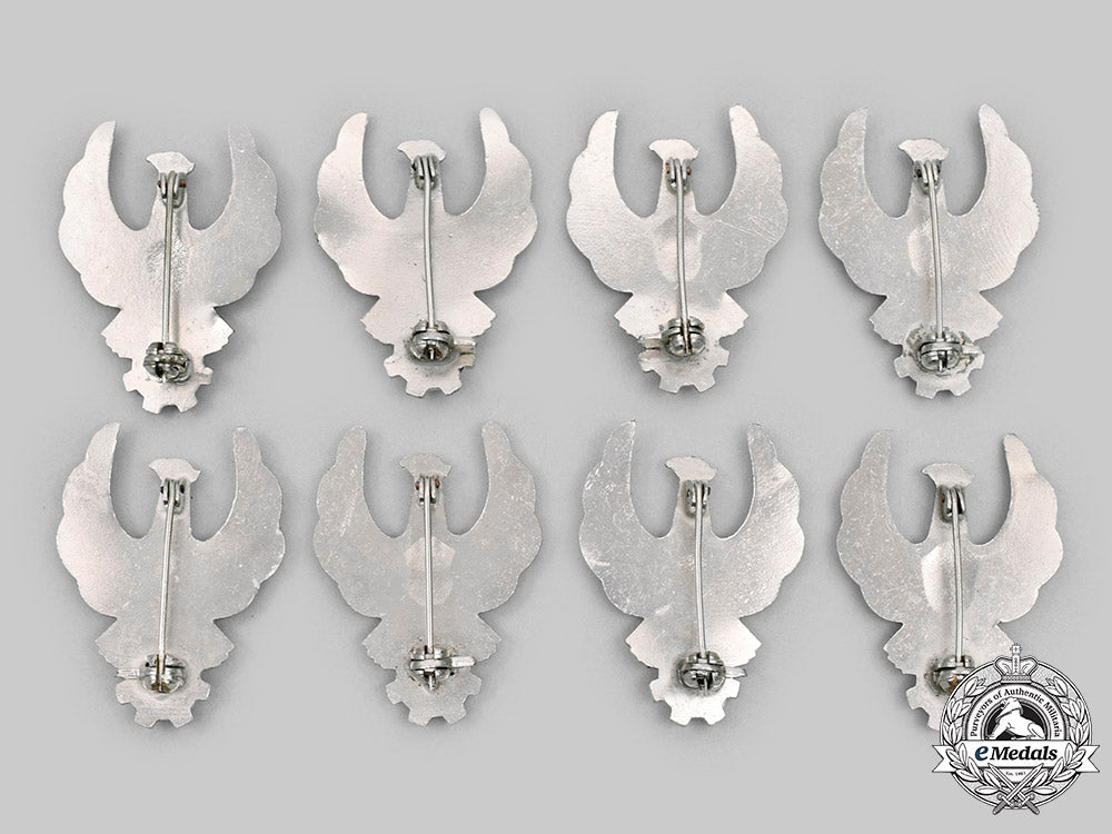 romania,_people's_republic._eight_romanian_air_force(_roaf)_mechanic_iii_class_badges_c2020_316_mnc6057